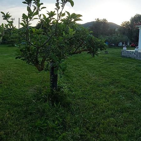 Willa Olbia Grazioso Bilo In Periferia Sole Ruiu Zewnętrze zdjęcie